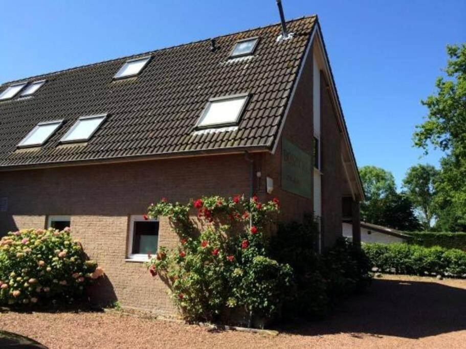 Boszicht 3 Appartement In Oostkapelle Εξωτερικό φωτογραφία